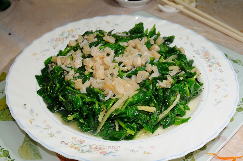 D3H_1999.jpg - 清水灼豆苗